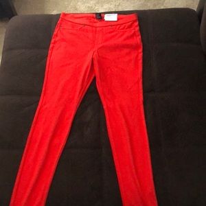 HUE Leggings